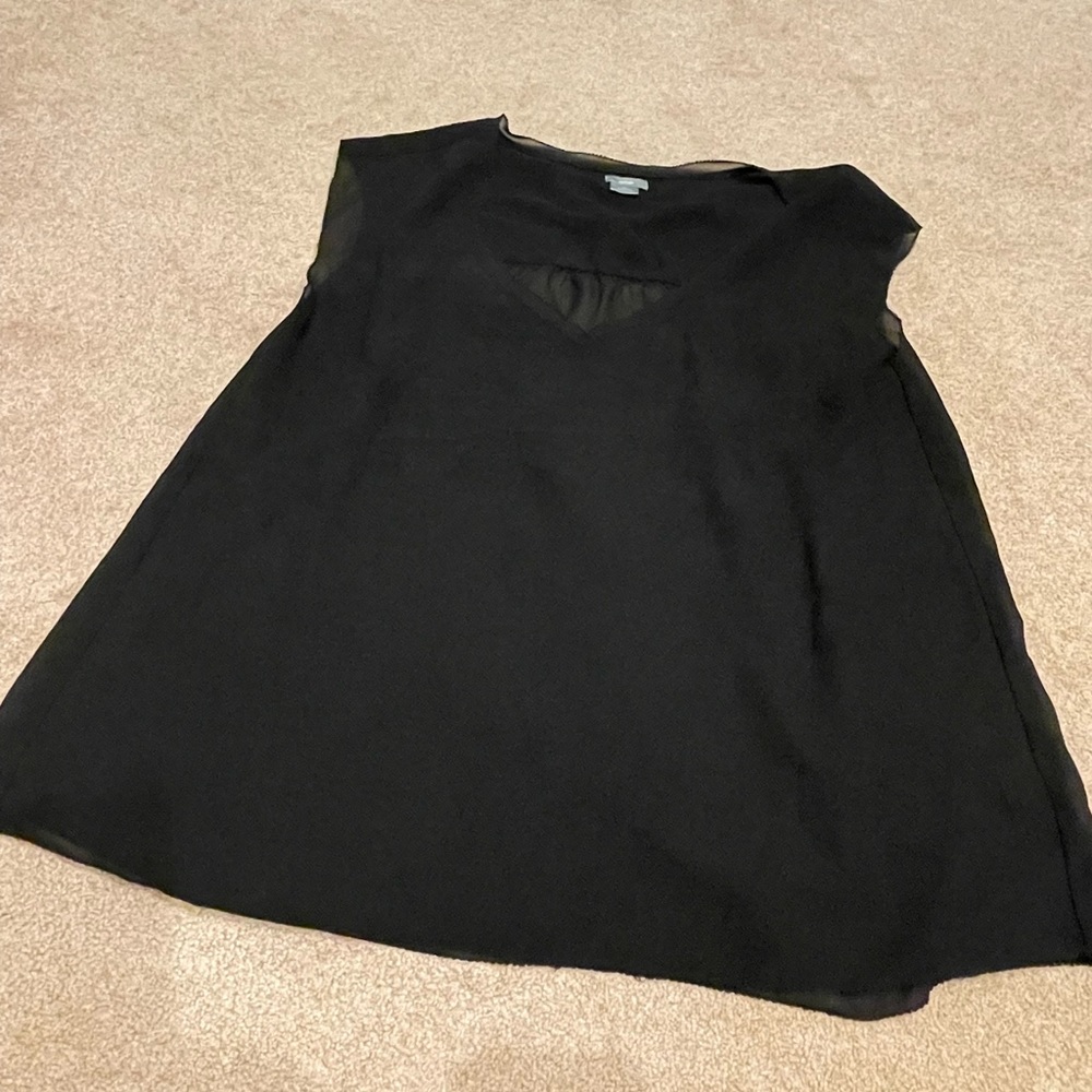 Aerie V-neck Black Sheer Blouse